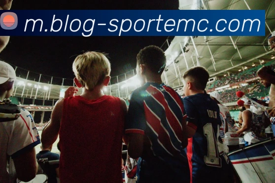 易倍体育平台生态图