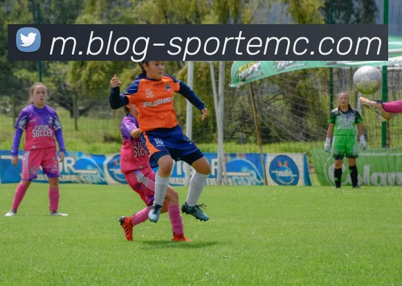 易倍体育APP 封面图